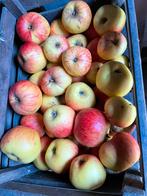 Super lekkere BIO appelen vers geplukt van de boomgaard, Ophalen