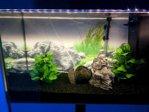 Aquarium Ciano 120l avec tous les accessoires, Dieren en Toebehoren, Vissen | Aquaria en Toebehoren, Zo goed als nieuw