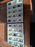 Set van  insekten met boek, Enlèvement