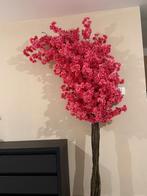 Bloesemboom, Huis en Inrichting, Ophalen, Binnen