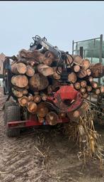 Gezocht bomen/stammen hout, Enlèvement, Troncs d'arbres