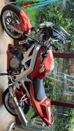 Suzuki sv1000, Motoren, Motoren | Suzuki, Particulier