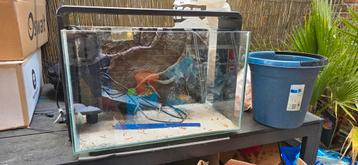 Superfish home 60, Dieren en Toebehoren, Ophalen, Zo goed als nieuw