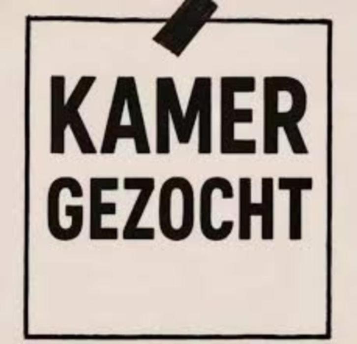 GEZOCHT: gemeubelde kamer regio Buggenhout, Immo, Appartementen en Studio's te huur, Provincie Oost-Vlaanderen