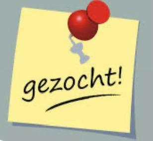 Mager/opknapper paard gezocht, Dieren en Toebehoren, Paarden