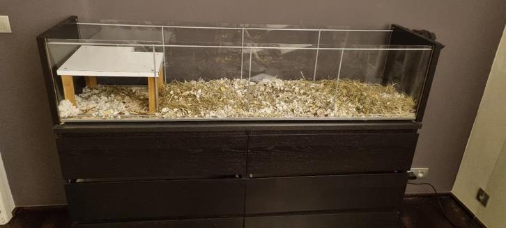 Knaagdier kooi met met toebehoren voor hamsters, Dieren en Toebehoren, Knaagdieren en Konijnen | Hokken en Kooien, Gebruikt, Kooi