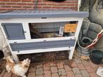 2 mannetjes met kooi en alle benodigheden, Dieren en Toebehoren, Ophalen, Kooi