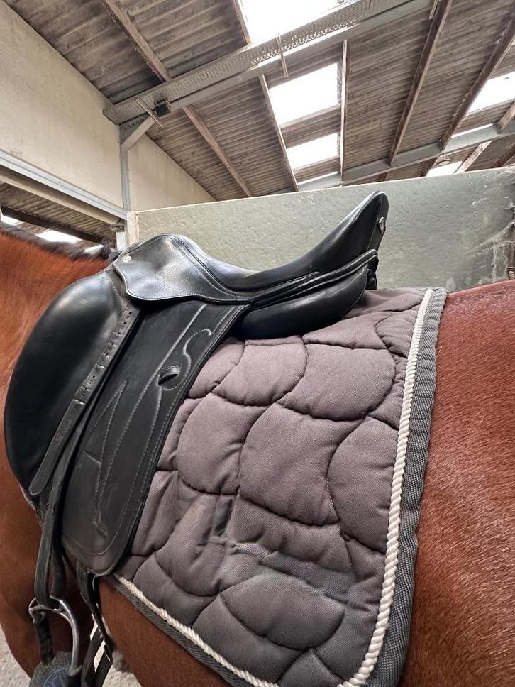 Dressuurzadel ALS, Dieren en Toebehoren, Paarden en Pony's | Zadels, Gebruikt, Dressuur, Ophalen