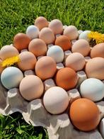 30 verse eieren
