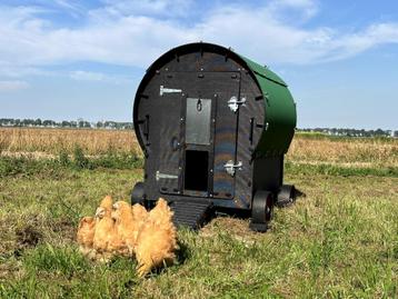 Kunststof mobiel kippenhok Nestera Wagon | Showroom disponible aux enchères