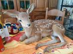 Taxidermie hert bambi, Januari, Geslacht onbekend