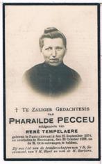 Bp. Peccue Pharailde. ° Passchendaele 1874 † Hooglede 1928, Verzamelen, Ophalen of Verzenden, Bidprentje