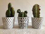 Ensemble Décoration Design pots avec cactus artificiel :, Enlèvement ou Envoi, Neuf