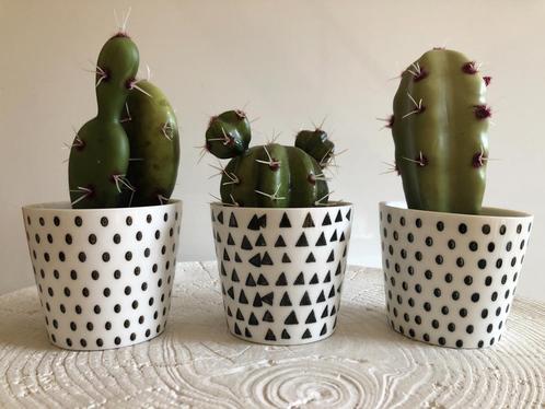 Ensemble Décoration Design pots avec cactus artificiel :, Maison & Meubles, Accessoires pour la Maison | Plantes & Fleurs artificielles
