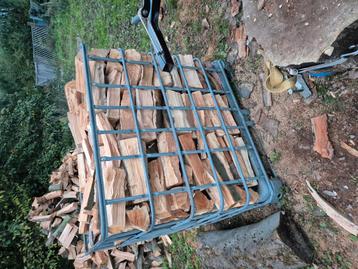 Brandhout beuk beschikbaar voor biedingen