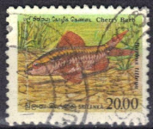 Sri Lanka 1993 - Yvert 938 - Inheemse vissen (ST), Timbres & Monnaies, Timbres | Asie, Affranchi, Envoi
