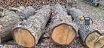 Stammen eik, Tuin en Terras, Brandhout, 3 tot 6 m³, Ophalen, Eikenhout, Stammen