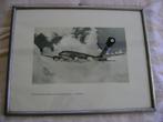 Foto FW200., Ophalen of Verzenden, Luchtmacht, Foto of Poster