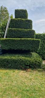 Homme polyvalent, Jardin & Terrasse, Gazon & Gazon artificiel, Enlèvement ou Envoi