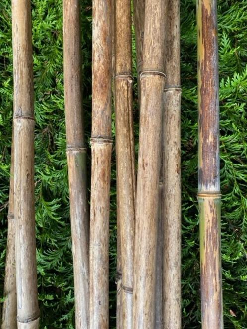 Stevige bamboestokken, Tuin en Terras, Kweekspullen, Ophalen
