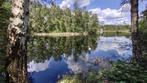 vijver met bos 1,6 ha regio Geel, Zakelijke goederen, Landbouw | Onroerend goed, Ophalen