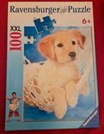 Puzzel XXL : hond - puppy / 100 stukken, Ophalen of Verzenden