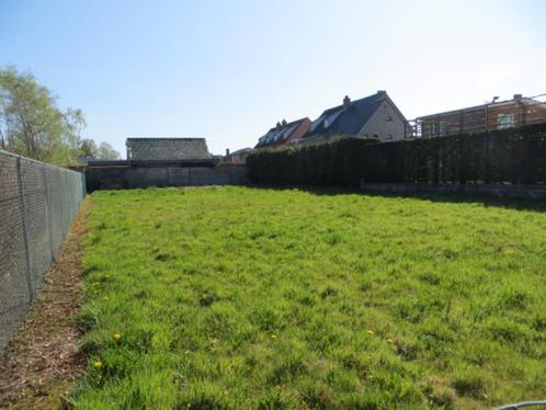 Te maaien gras voor dieren / gratis, Dieren en Toebehoren, Stalling en Weidegang, Weidegang