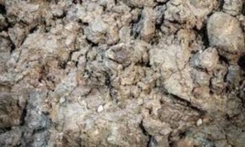 Gratis grond  beschikbaar voor biedingen