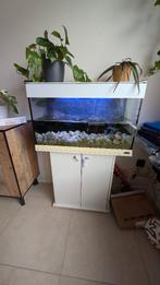 Te koop aquarium, Dieren en Toebehoren, Ophalen, Gebruikt, Gevuld zoetwateraquarium