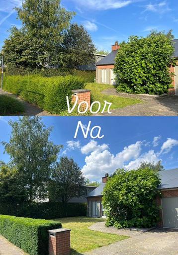 ⭐️ Professioneel tuinonderhoud hogedrukreinigen klussen ⭐️ disponible aux enchères