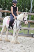 MEGA MEGA BRAVE TINKER PONY, Dieren en Toebehoren, Ruin