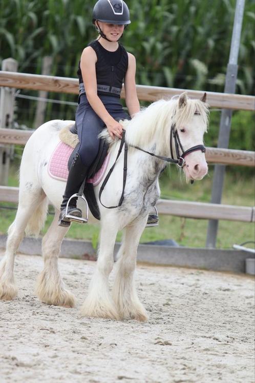 MEGA MEGA BRAVE TINKER PONY, Dieren en Toebehoren, Pony's, Ruin