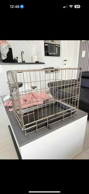 Honde bench te koop beschikbaar voor biedingen
