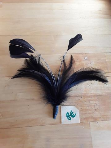 Plumes anciennes pour chapeaux 