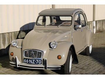 Citroën 2CV de 1977 - Oldtimer, Achat, 2CV, Entreprise, Occasion