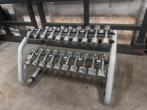 Technogym Chrome Dumbells 1kg t/m 10kg + Technogym Opbergrek, Ophalen, Gebruikt, Dumbbell