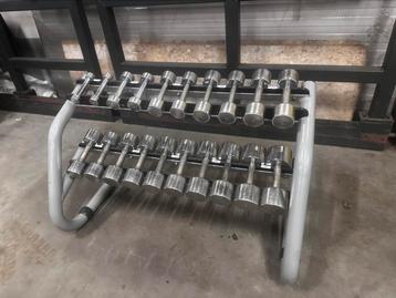 Technogym Chrome Dumbells 1kg t/m 10kg + Technogym Opbergrek, Enlèvement, Utilisé, Haltère