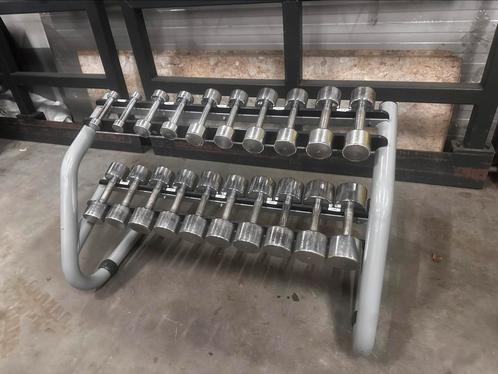 Technogym Chrome Dumbells 1kg t/m 10kg + Technogym Opbergrek, Sport en Fitness, Fitnessmaterialen, Gebruikt, Dumbbell, Ophalen