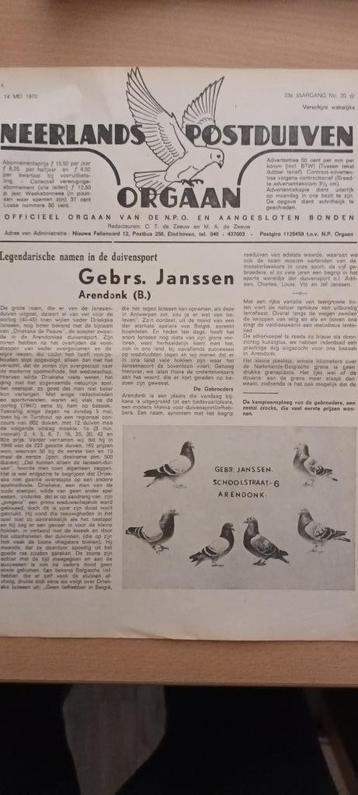 Postduif postduiven, Klak, NPO orgaan, duivenklokken. beschikbaar voor biedingen
