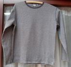 Truitje van WE maat 146-152, Kinderen en Baby's, Kinderkleding | Maat 152, Gebruikt, WE, Jongen of Meisje, Ophalen of Verzenden
