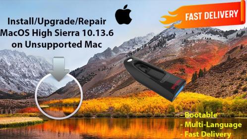 macOS High Sierra 10.13.6 USB pour Mac non Pris en Charge !, Informatique & Logiciels, Systèmes d'exploitation, Neuf, MacOS, Envoi