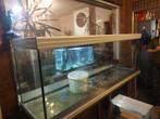 Aquarium, Dieren en Toebehoren, Ophalen, Gebruikt, Leeg aquarium
