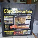 Glazen terrarium voor reptielen en amfibieën, Dieren en Toebehoren, Reptielen en Amfibieën | Toebehoren, Terrarium of Paludarium