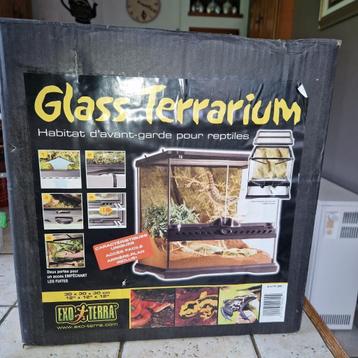 Terrarium en verre pour reptiles et amphibiens 