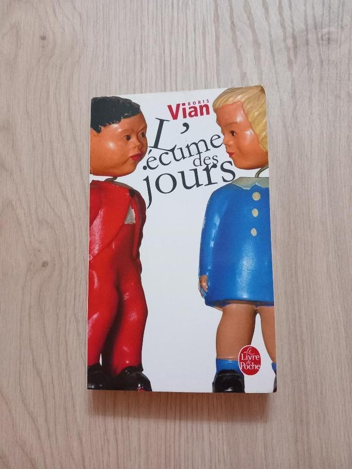 L'écume des jours - Boris Vian, Boeken, Romans, Zo goed als nieuw, België, Ophalen