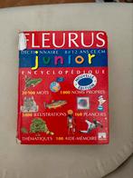 Junior encyclopedisch woordenboek, Boeken, Gelezen, Overige uitgevers, Frans