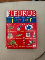 Dictionnaire encylopédique junior, Livres, Utilisé, Autres éditeurs, Français