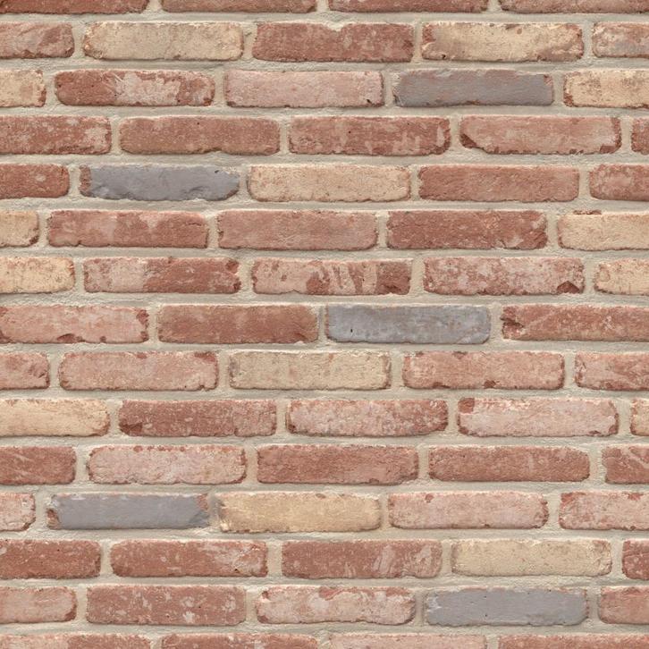 Gevelsteen - Wienerberger, Doe-het-zelf en Bouw, Metselstenen, Nieuw, Bakstenen, Ophalen