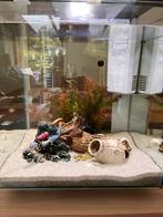 Aquarium Qubic te koop, Dieren en Toebehoren, Ophalen