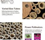 Bijenhuis | Nieuw, Dieren en Toebehoren, Insecten en Spinnen, Bijen